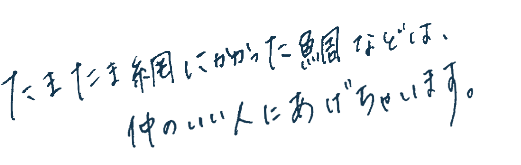 たまたま網にかかった鯛などは、仲のいい人にあげちゃいます。