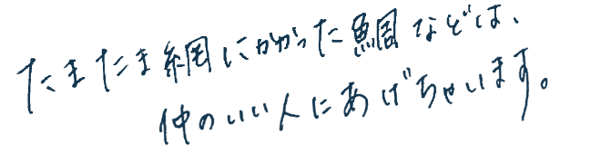 たまたま網にかかった鯛などは、仲のいい人にあげちゃいます。